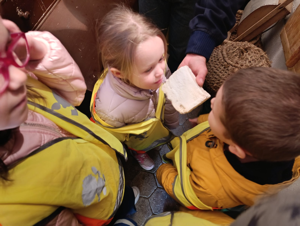 viber slika 2025 03 24 11 52 54 654