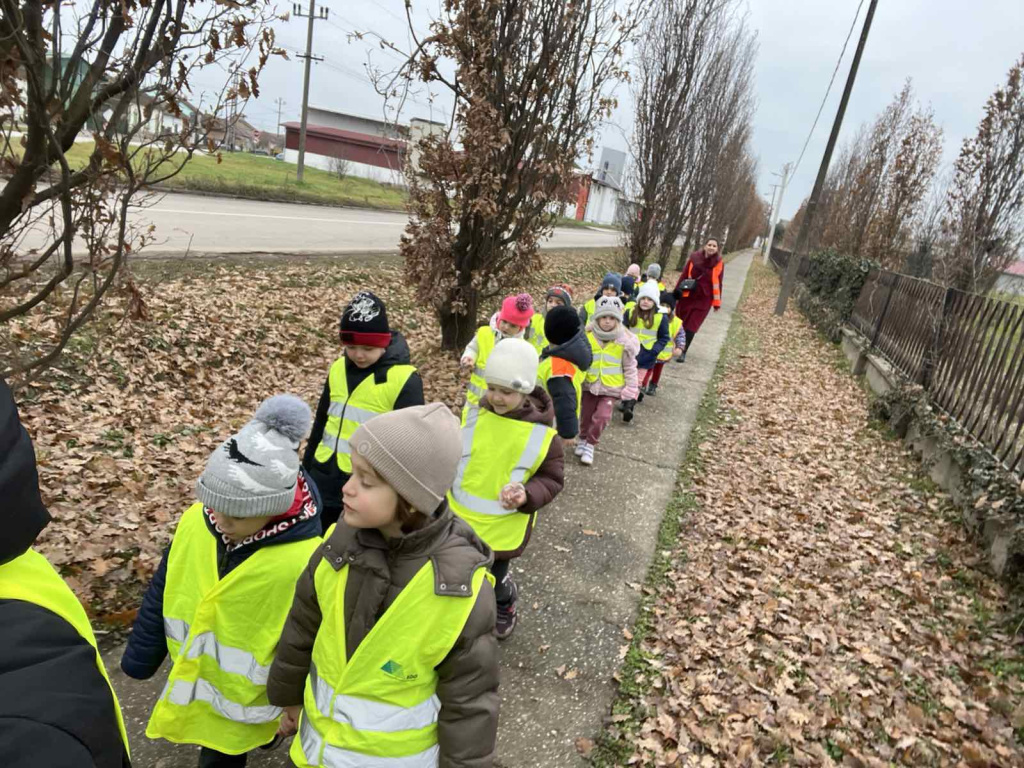 viber slika 2024 12 13 12 36 08 745