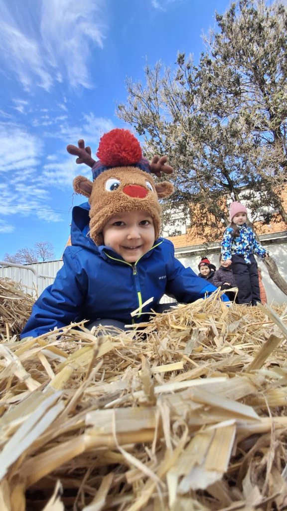 viber slika 2024 12 17 12 24 08 496