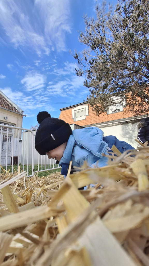 viber slika 2024 12 17 12 24 19 953