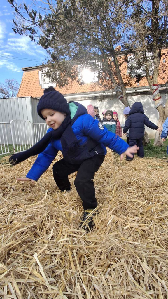 viber slika 2024 12 17 12 24 22 137