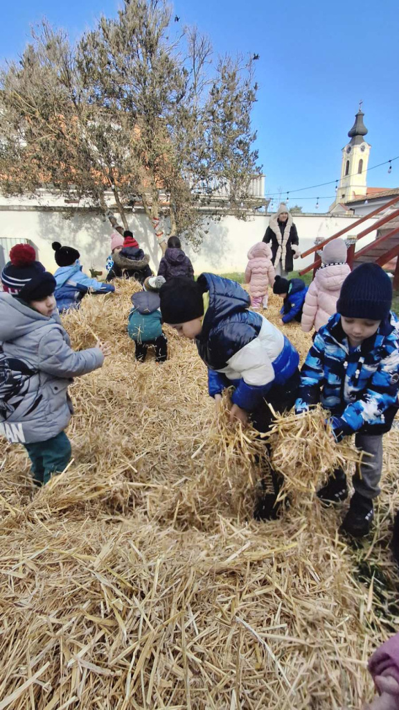 viber slika 2024 12 17 12 24 22 182