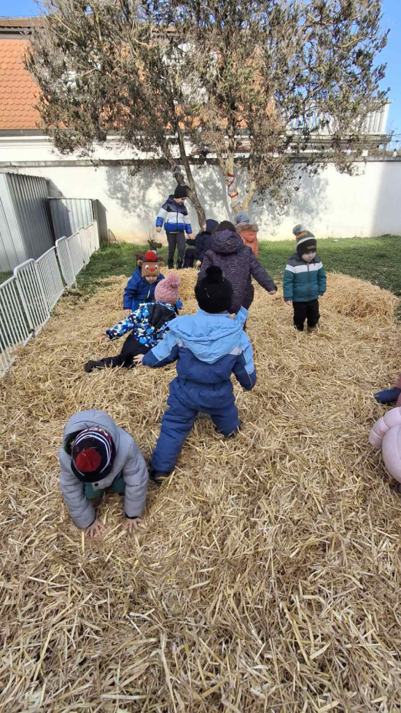 viber slika 2024 12 17 12 24 22 226