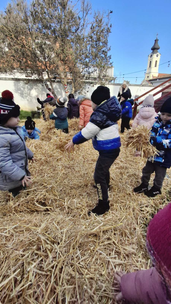 viber slika 2024 12 17 12 24 22 314