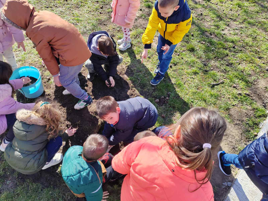 viber slika 2025 03 06 12 05 29 550