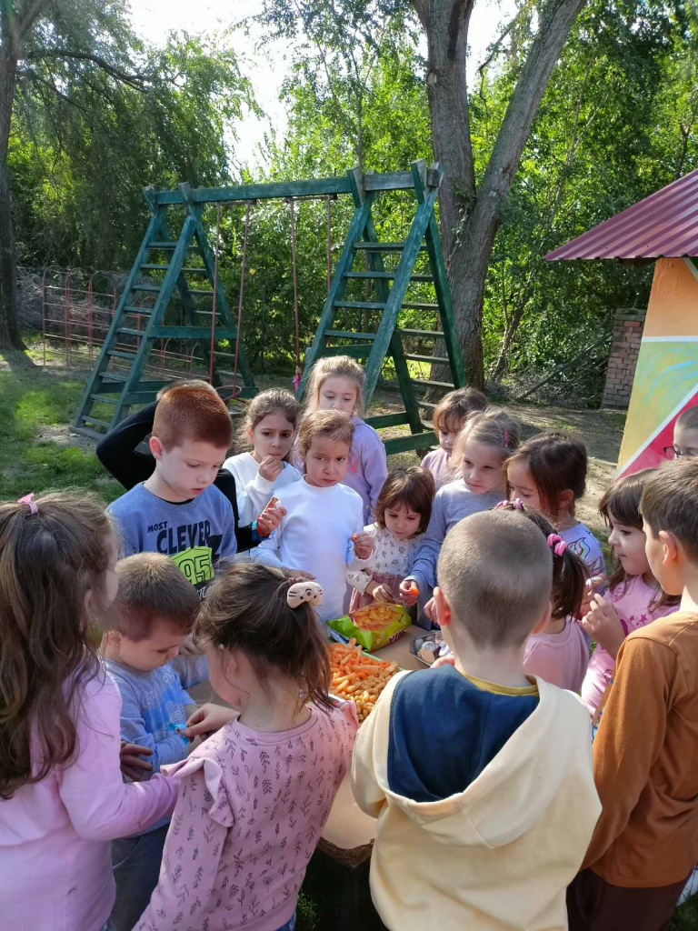 viber slika 2024 10 10 11 18 39 959