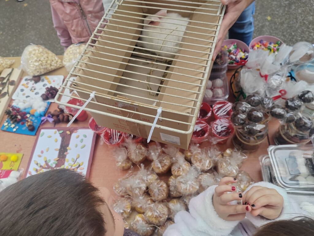 viber slika 2025 10 09 13 09 38 586