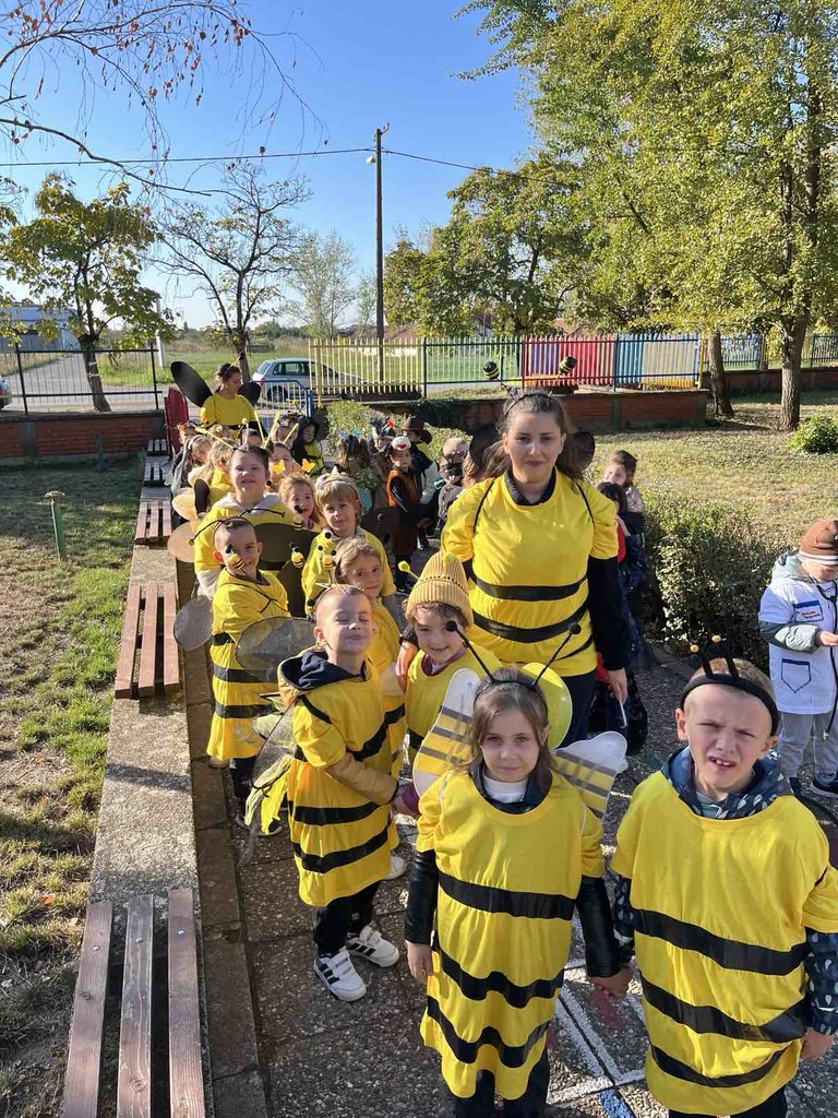 viber slika 2025 10 07 11 53 04 200