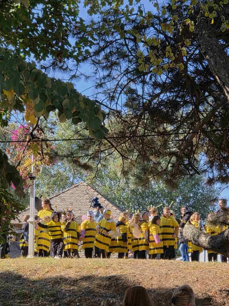 viber slika 2025 10 07 11 53 05 481