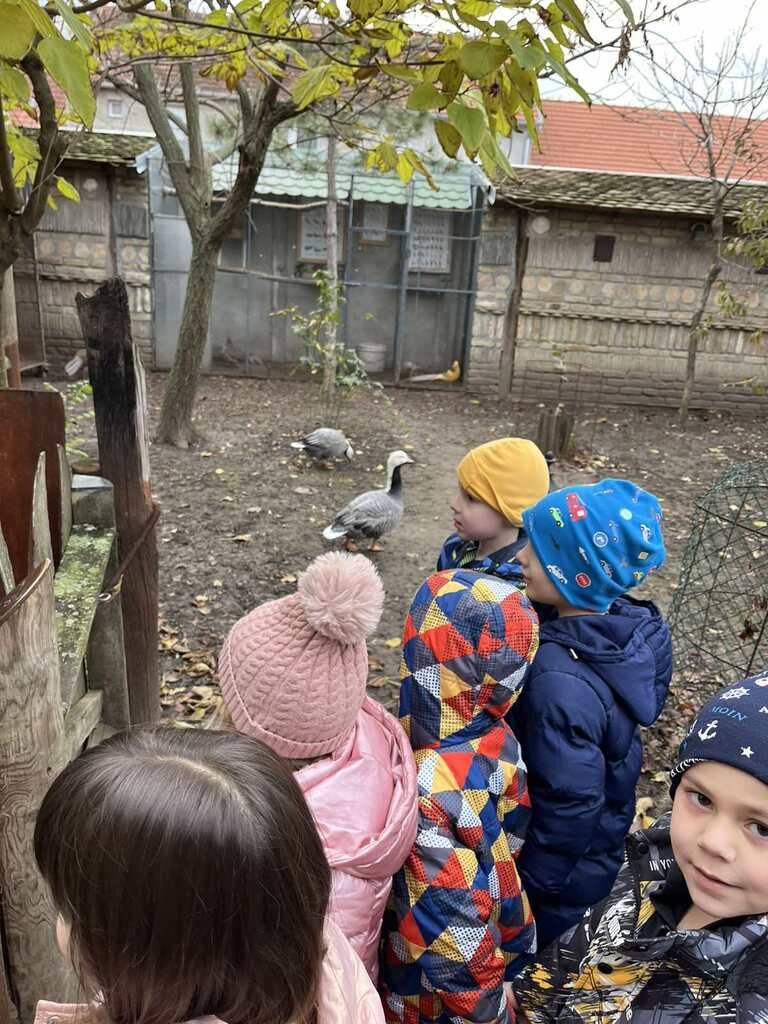 viber slika 2025 11 19 08 25 05 851