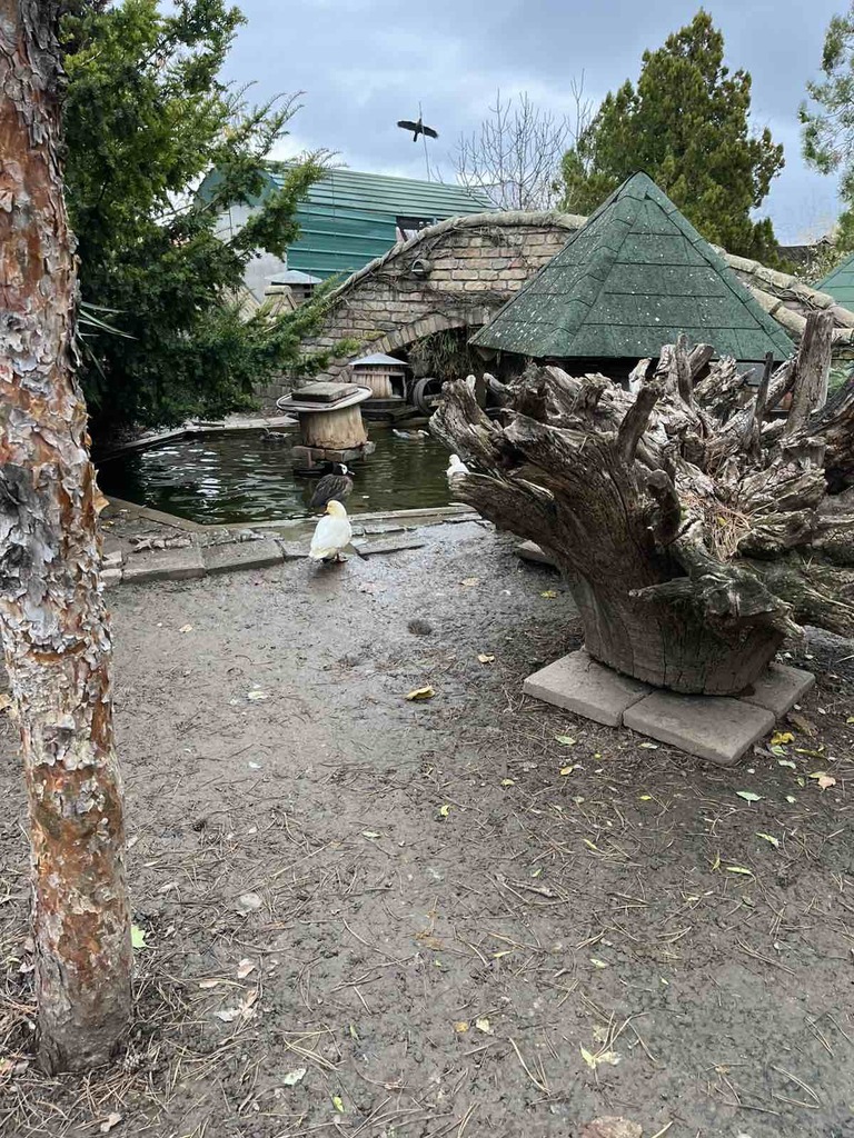 viber slika 2025 11 19 08 25 06 593