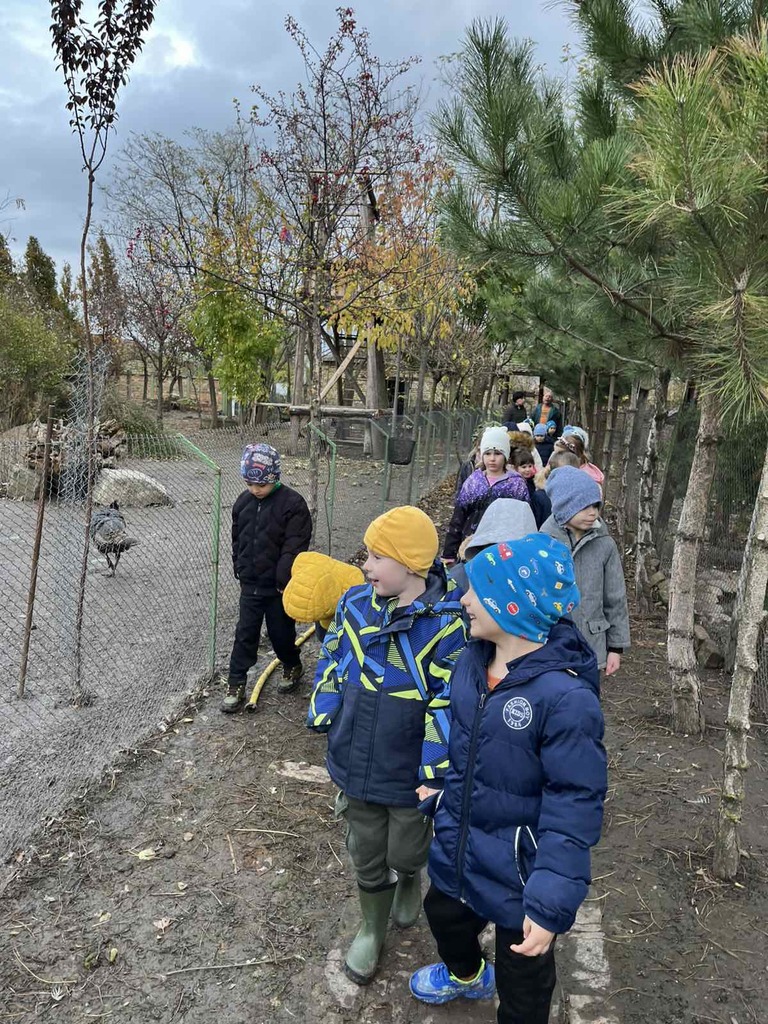 viber slika 2025 11 19 08 25 06 726