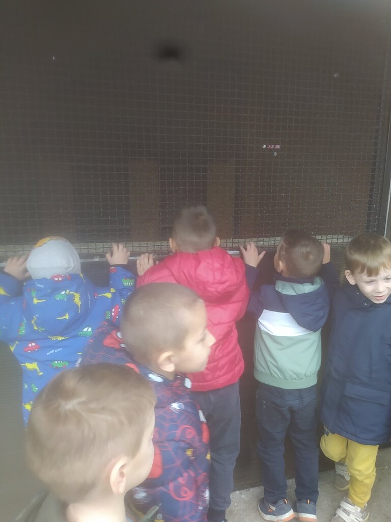 viber slika 2025 11 10 12 11 48 230