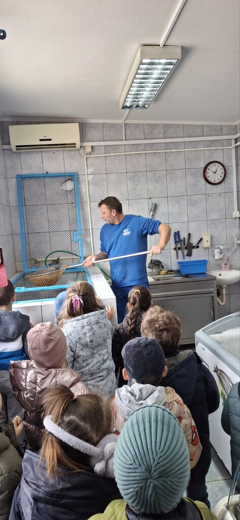 viber slika 2025 10 21 11 44 12 951