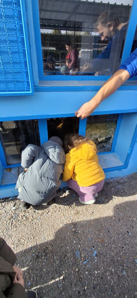 viber slika 2025 10 21 11 44 13 261