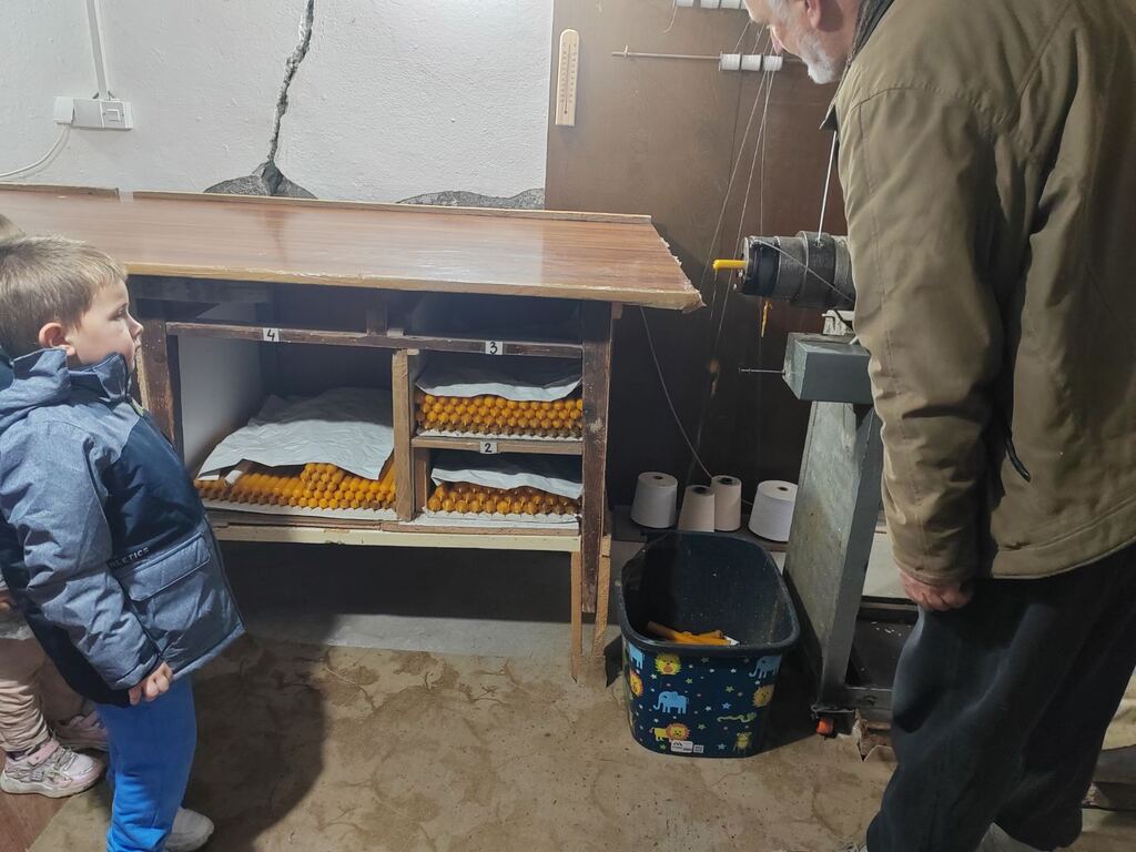 viber slika 2025 12 01 13 00 54 364