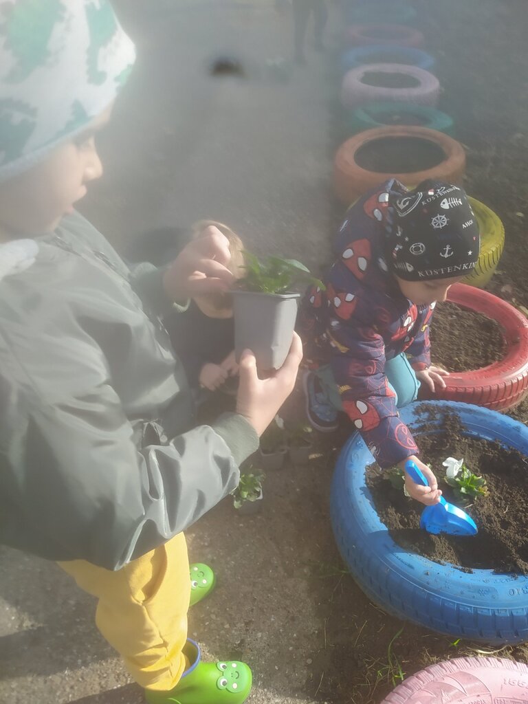 viber slika 2025 10 30 14 34 48 792